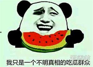 吃瓜群众在线吃瓜666,吃瓜群众在线吃瓜666，揭秘网络热点的背后
