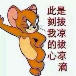 七夕节吃瓜群众图片高清,吃瓜群众欢乐多,高清图片记录甜蜜瞬间