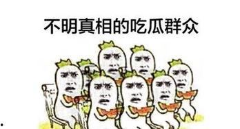 哪些网络吃瓜群众,揭秘网络“吃瓜群众”背后的热点追踪与舆论风向