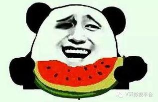 吃瓜群众小胖图片搞笑大全,笑料横生！小胖吃瓜群众搞笑瞬间大盘点