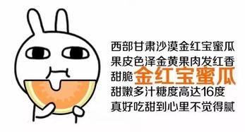 穿越只想当吃瓜群众,只想做个悠闲的吃瓜群众