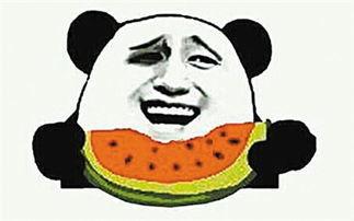 只是一枚吃瓜群众什么意思